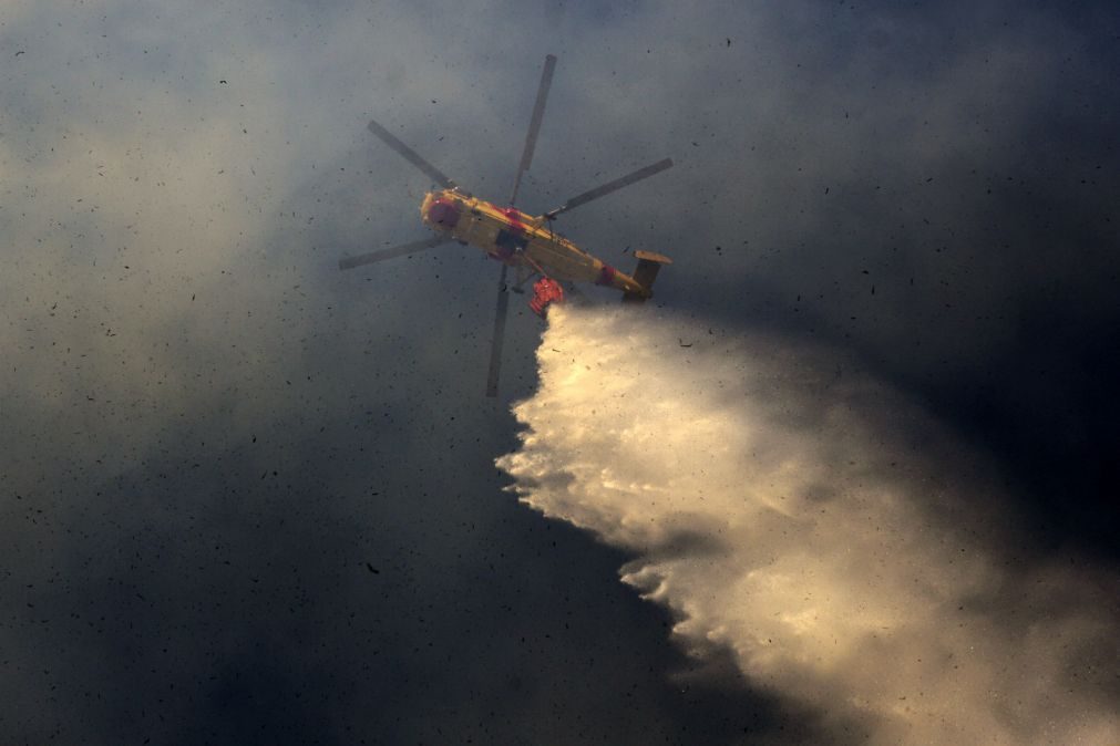 PJ detém incendiário de Castelo Branco