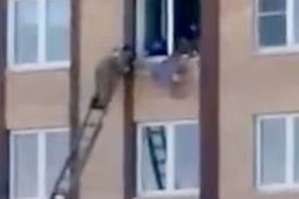 Idosa pendurada pelo tornozelo em quarto andar de prédio [vídeo]