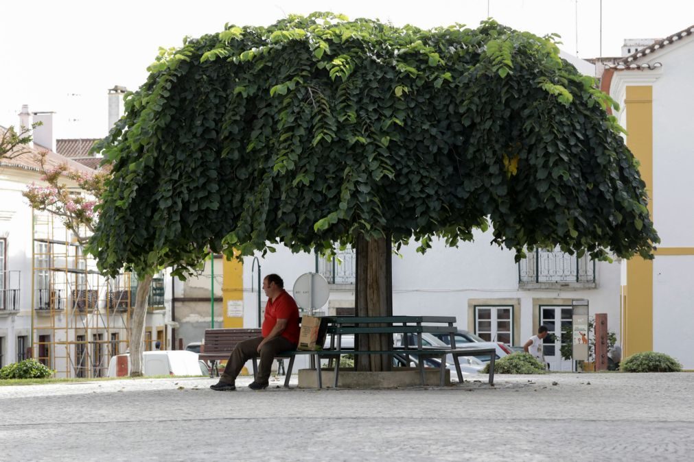 ALERTA TEMPERATURAS | Sete distritos sob aviso amarelo devido a tempo quente