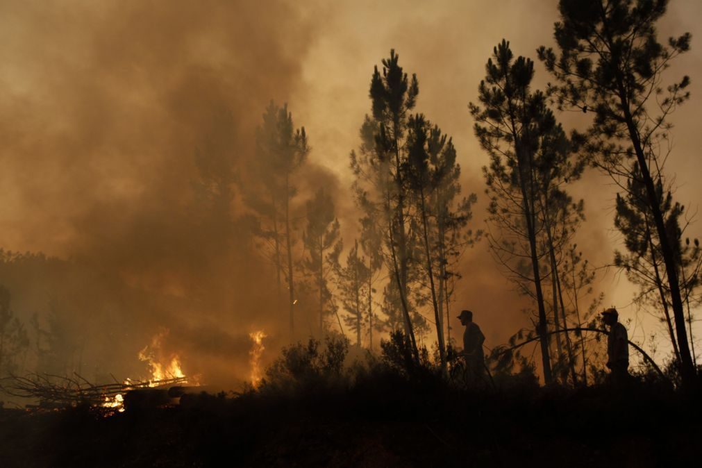 Incêndio em Santiago do Cacém combatido por 155 bombeiros