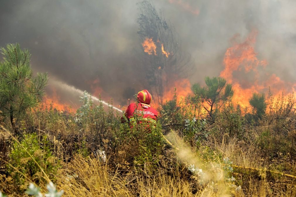 Nova frente de fogo «descontrolada» em Vila de Rei