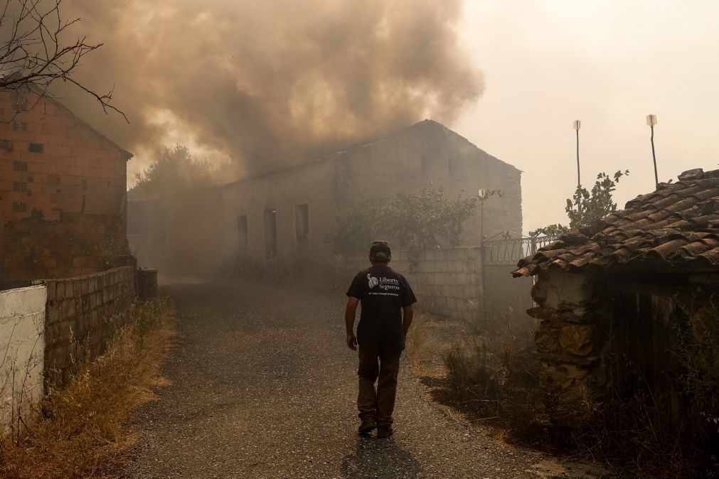 ALERTA | Habitações atingidas no fogo de Mação e Vila de Rei