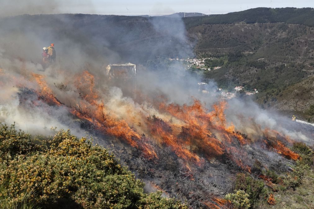 Detido suspeito de atear fogo florestal em Amarante