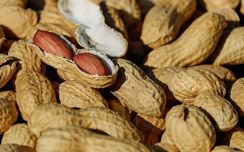 Quatro bons motivos para comer amendoim