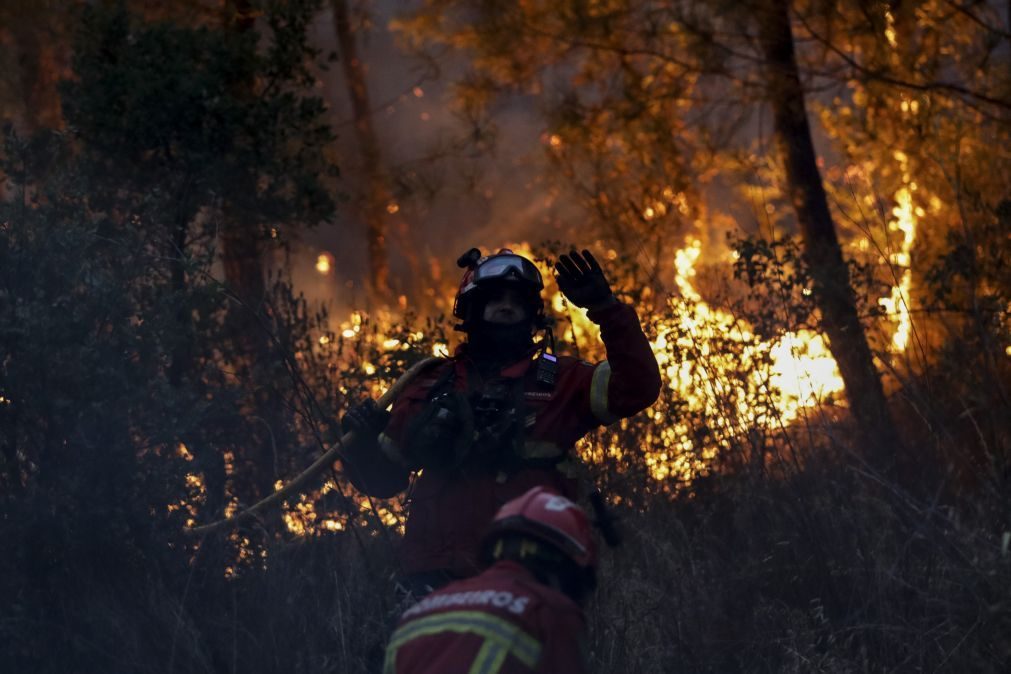 Incêndio em Pampilhosa da Serra mobiliza mais de 200 bombeiros