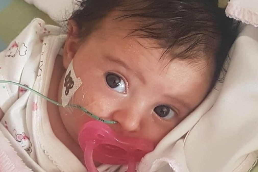 Bebés Matilde e Natália já tiveram alta hospitalar