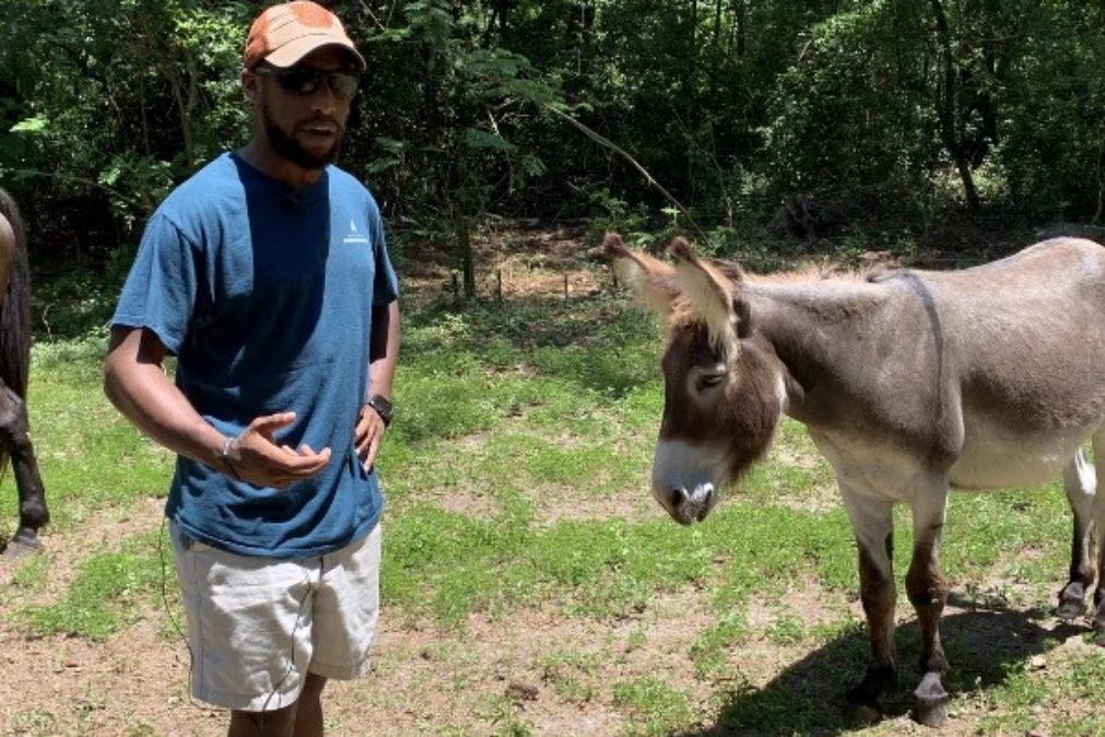 Travis Kinley faz dueto da música de Rei Leão com burro [vídeo]