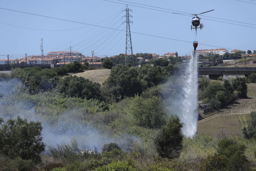 Circulação ferroviária em Setúbal normalizada