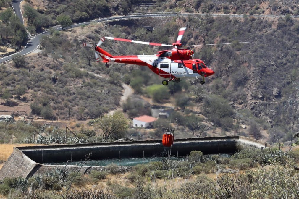 Incêndio nas Canárias: Fogo está controlado