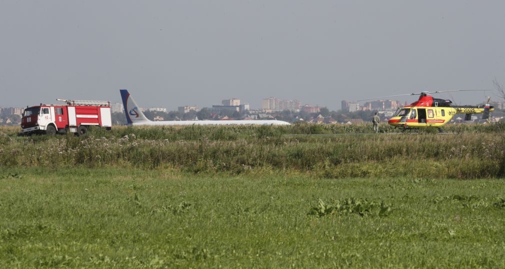 Avião aterra de emergência em Moscovo após colisão com pássaros
