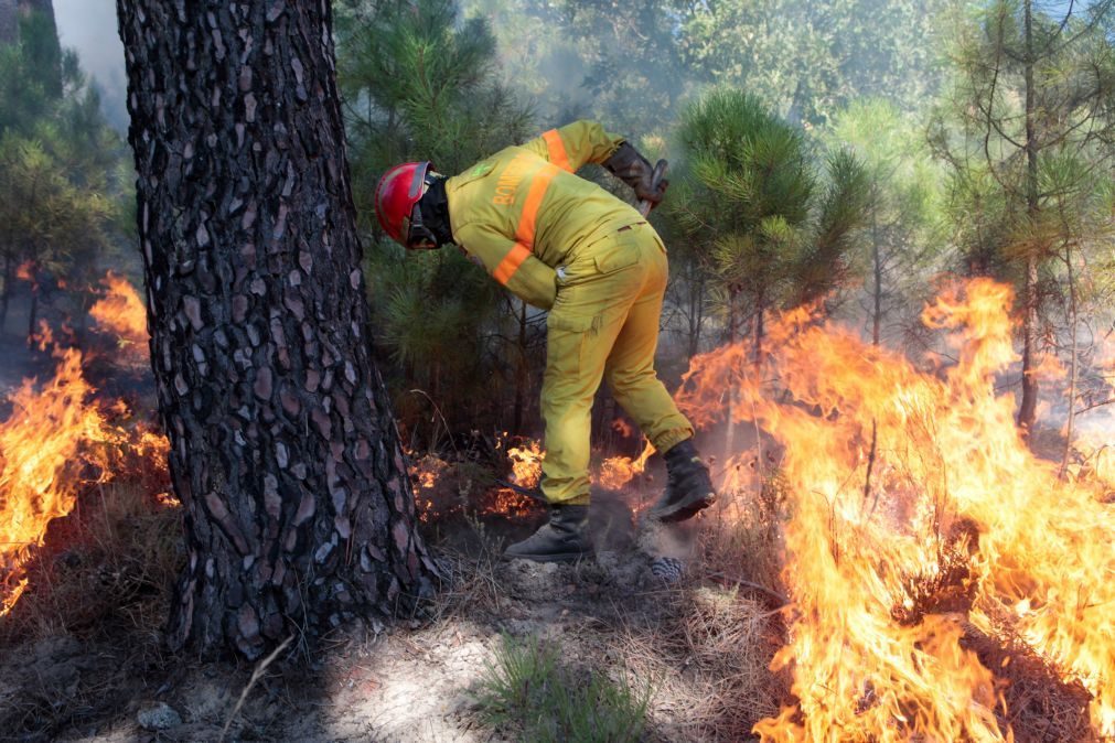 Quase 40 concelhos de nove distritos em risco máximo de incêndio