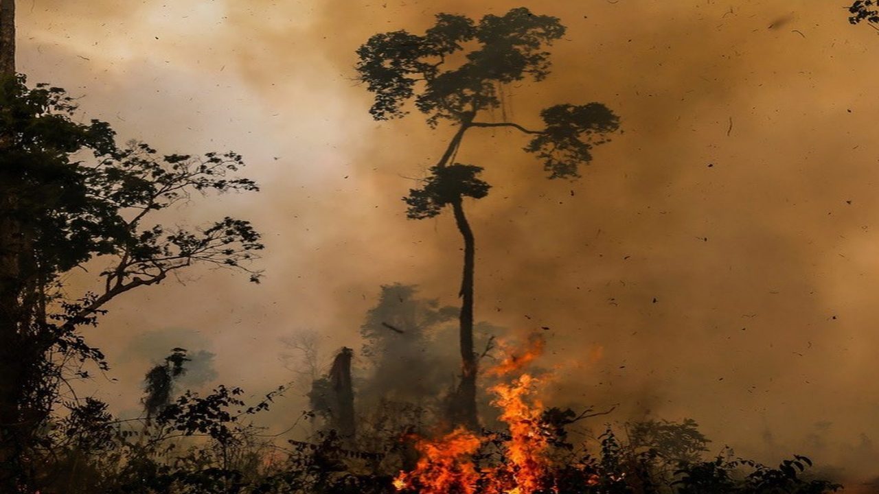 Bolsonaro diz que incêndios na Amazónia são criminosos e que as ONG são principais suspeitas