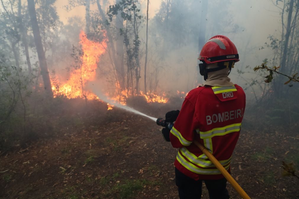 Incêndio no Sabugal mobiliza mais de 300 bombeiros e 10 meios aéreos