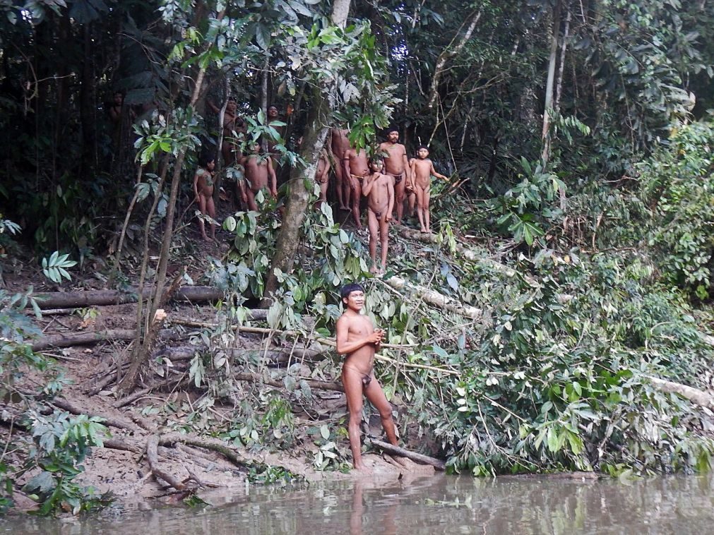 França propõe um fundo internacional para a Amazónia