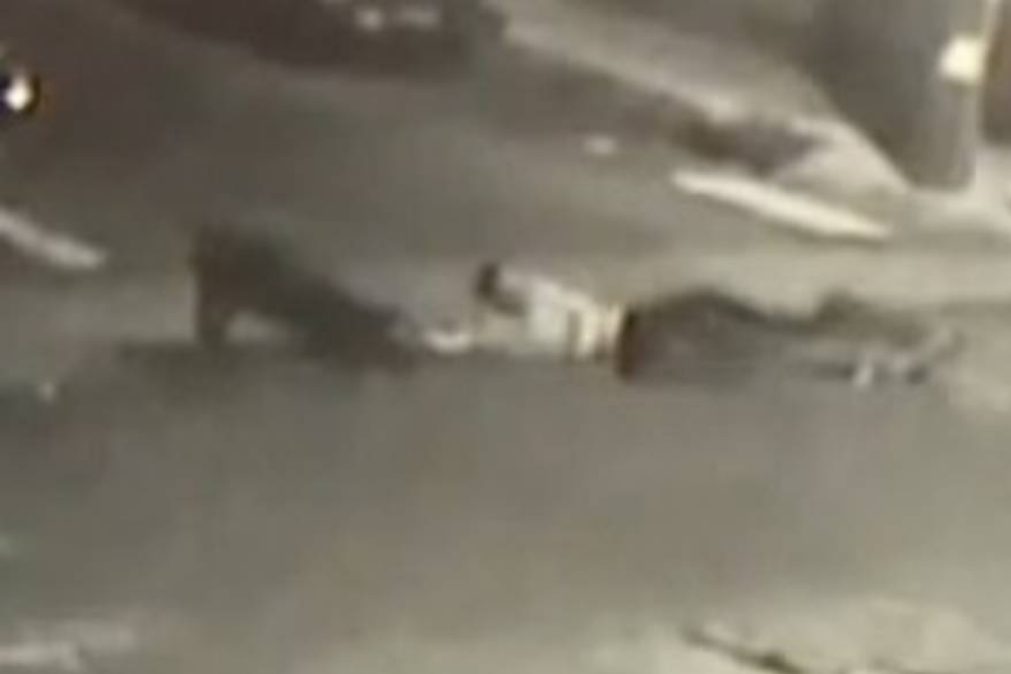 Polícia abate dois cães para salvar a vida de um homem [vídeo]