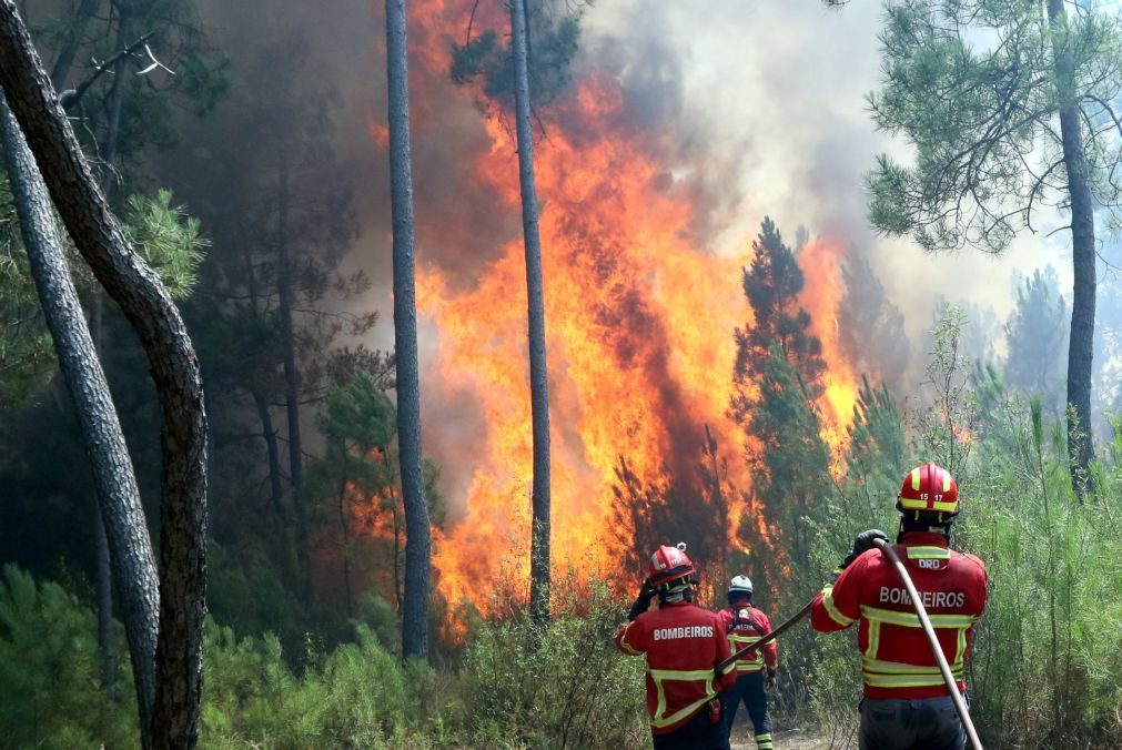 Trinta e dois concelhos de sete distritos do continente em risco máximo de incêndio