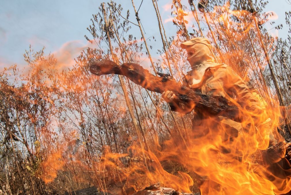 Três crianças identificadas como autoras de fogos em Sintra