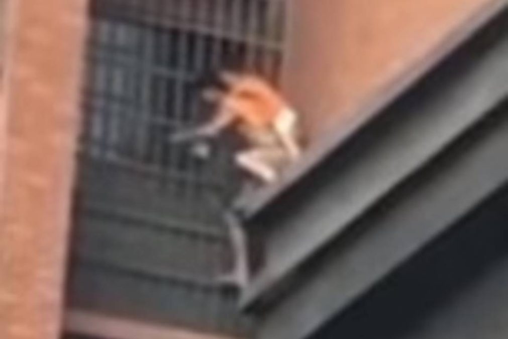 Incêndio leva homem a escalar prédio com criança às costas [vídeo]