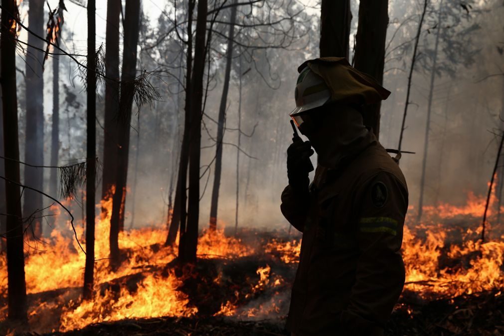 Incêndio em Marco de Canaveses combatido por mais de 120 operacionais