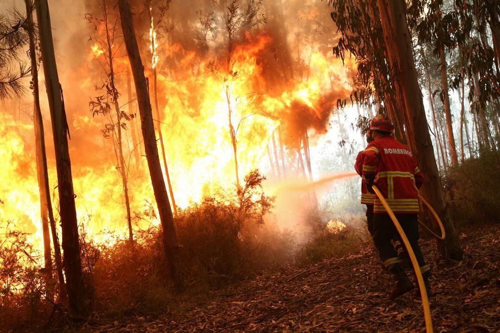Portugal continental em situação de alerta de risco de incêndio entre sexta-feira e sábado