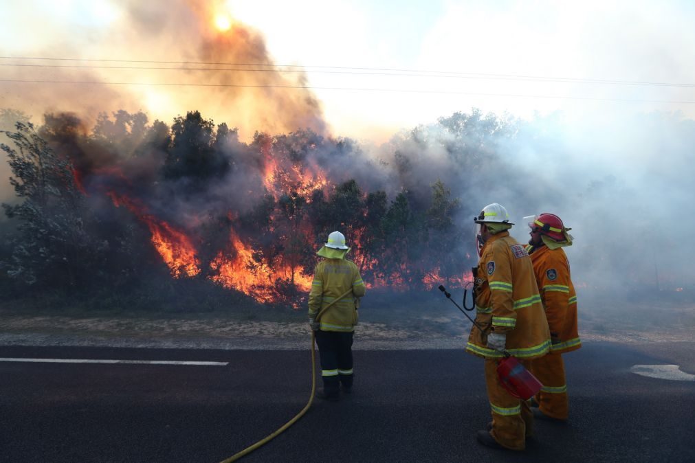 Austrália: Incêndios obrigam à retirada de centenas de pessoas