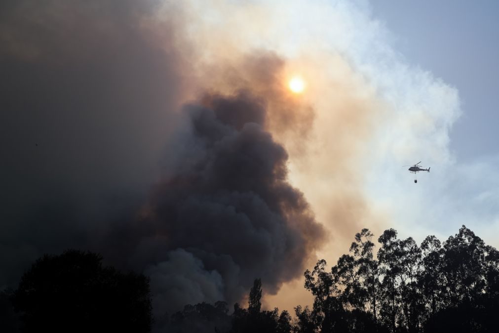 Reativação de fogo em Odemira mobiliza 116 operacionais e cinco aviões