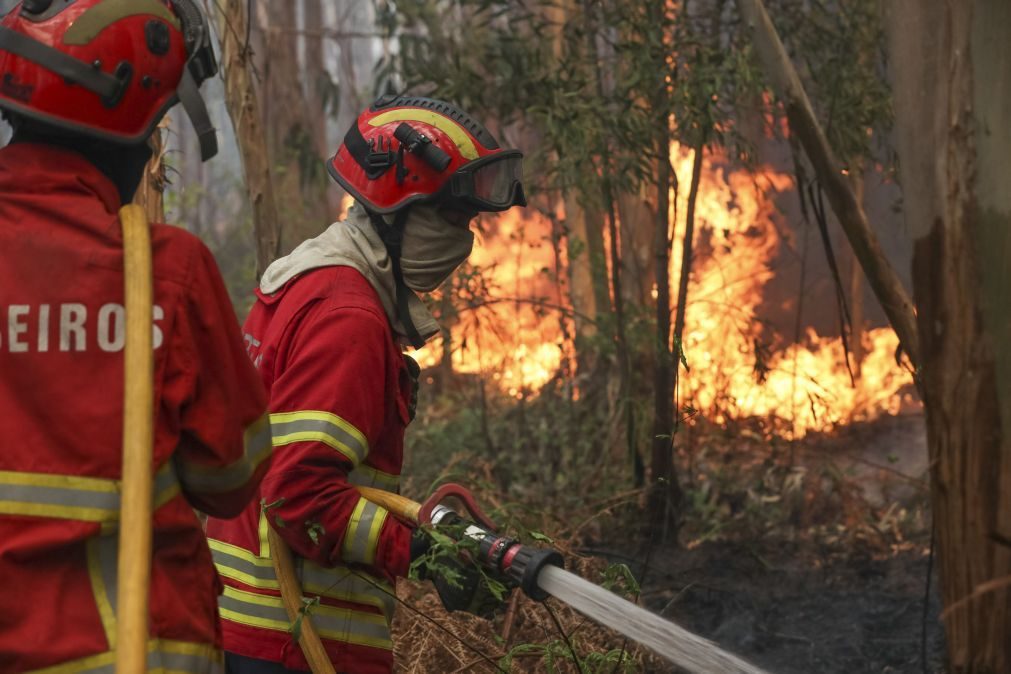 Incêndio: Três meios aéreos e mais de 158 operacionais combatem fogo em Cinfães