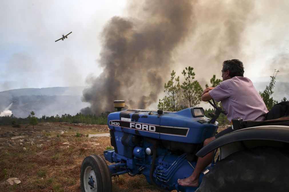 PSD e PCP defendem política florestal comum na UE para evitar fogos
