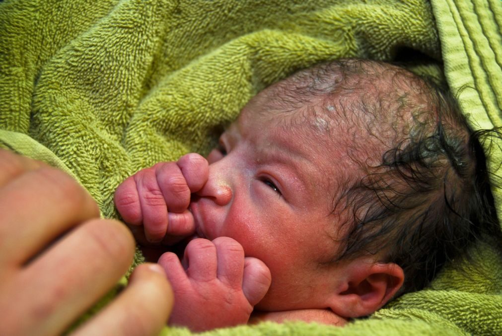 Rede de tráfico de ovários e recém-nascidos desmantelada na Grécia