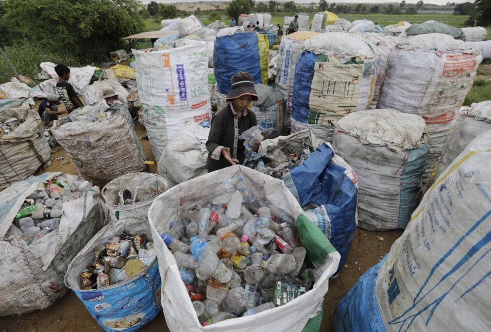 Reutilização é a verdadeira alternativa a plástico descartável