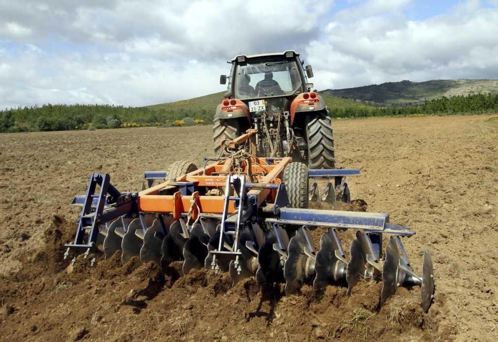 Agricultores | Prazo para candidaturas a apoios ao investimento termina hoje