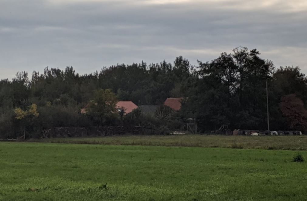 Ninguém se entende sobre o caso da família que vivia escondida em casa à espera do fim do mundo