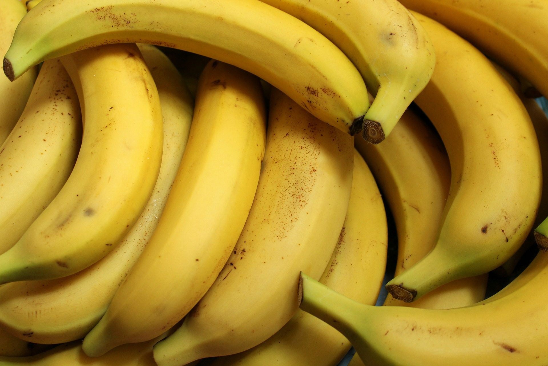 PJ apreende 375 quilos de cocaína escondida em contentor de bananas