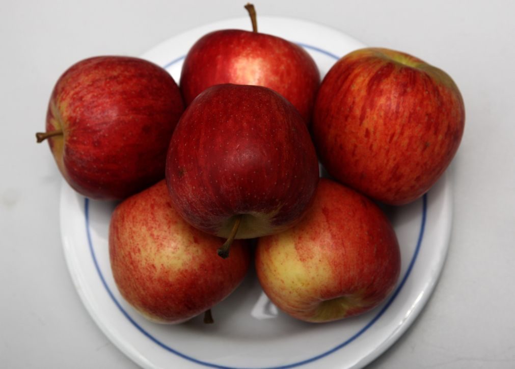 Nutricionistas: Crianças devem comer fruta ao pequeno-almoço