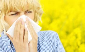 Conheça 12 dicas para evitar sofrer com as alergias da Primavera