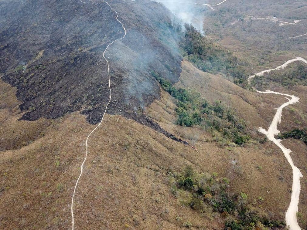 Desflorestação da Amazónia aumentou 80% em setembro