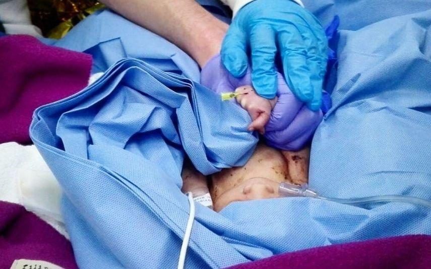 Mãe do bebé encontrado no lixo em prisão preventiva. Recém-nascido vai para instituição