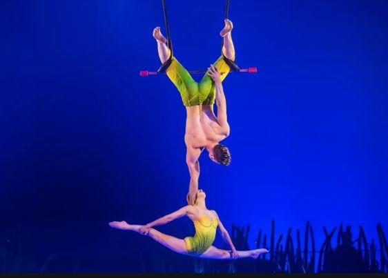Fundador do Cirque du Soleil detido por cultivo de canábis