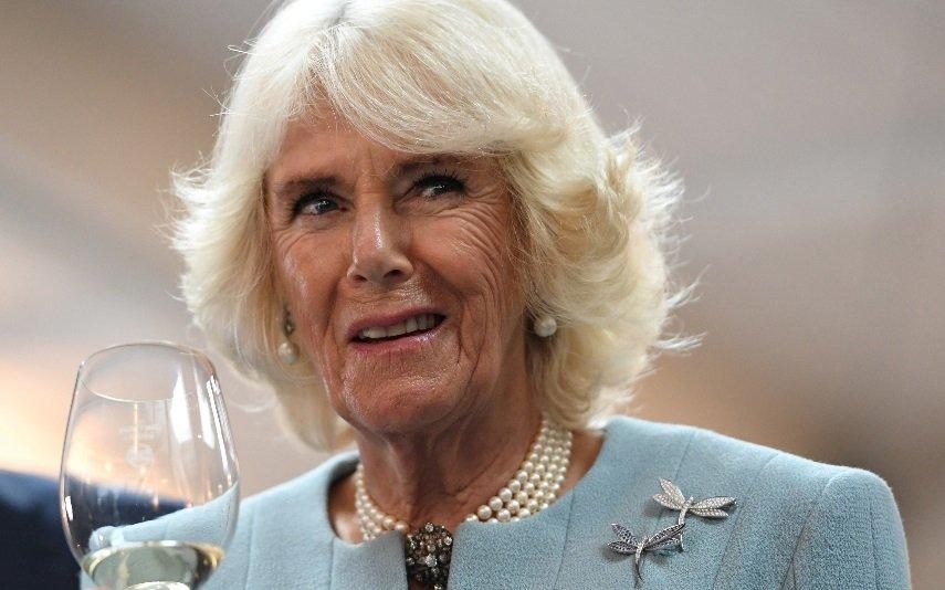 Fantasma da princesa Diana volta a atormentar Camilla