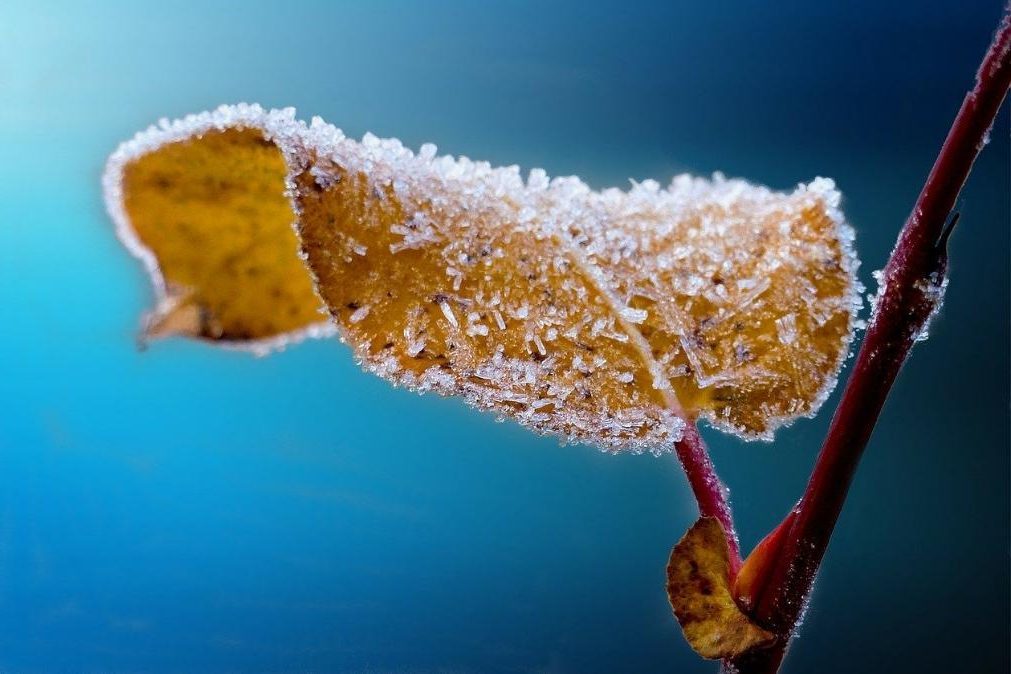 Meteorologia: O tempo para segunda-feira, 6 de janeiro