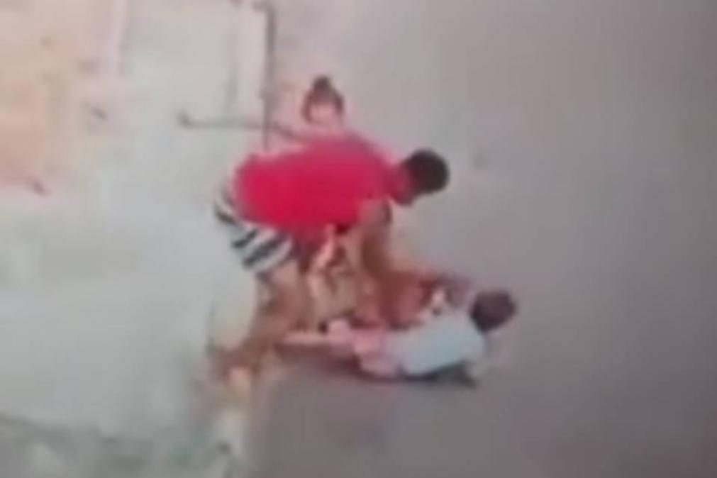 Pitbull ataca criança e jovem intervém para salvá-la [vídeo]