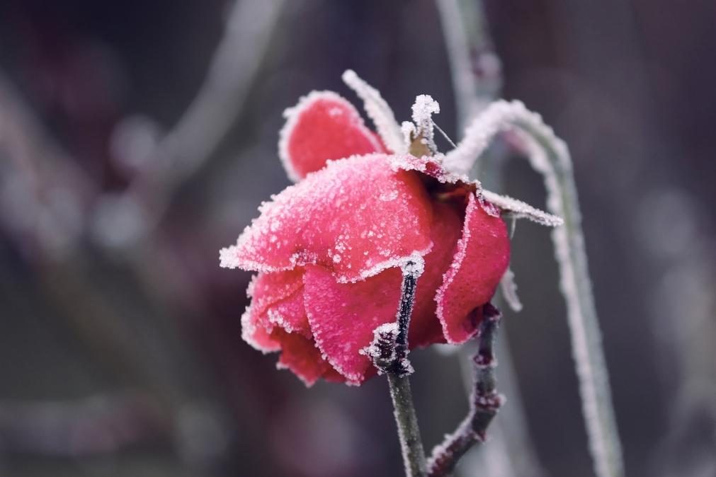 Meteorologia: O tempo para terça-feira, 31 de dezembro