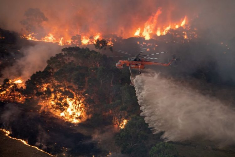 Mais três mortes na Austrália. Incêndios nos últimos meses já fizeram 16 mortos