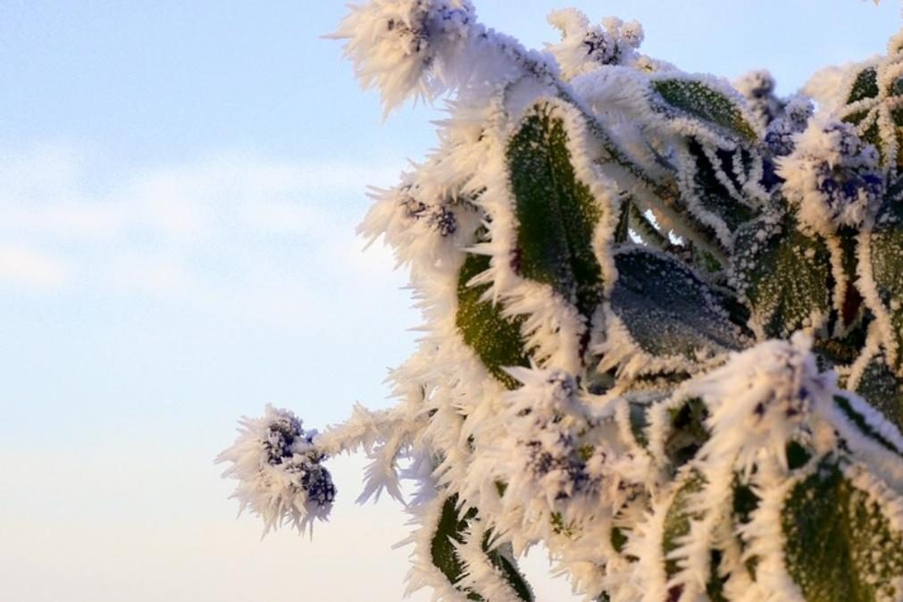 Meteorologia: O tempo para este domingo, 12 de janeiro