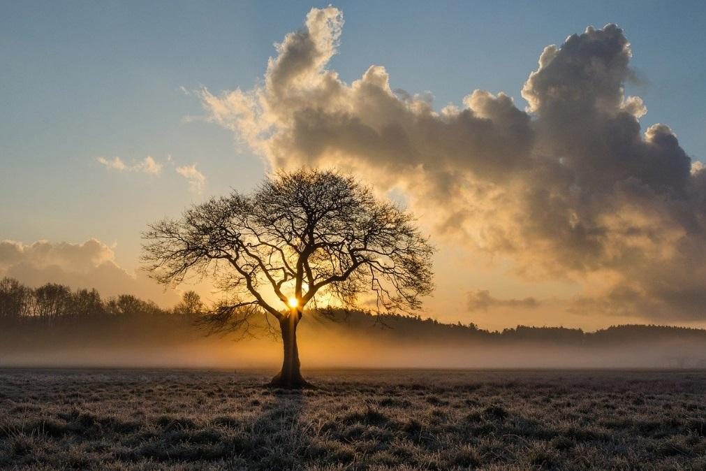 Meteorologia: Previsão do tempo para segunda-feira, 20 de janeiro