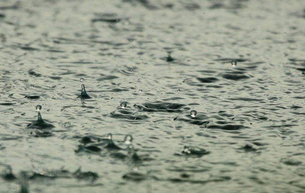 Meteorologia: Previsão do tempo para este domingo, 16 de fevereiro