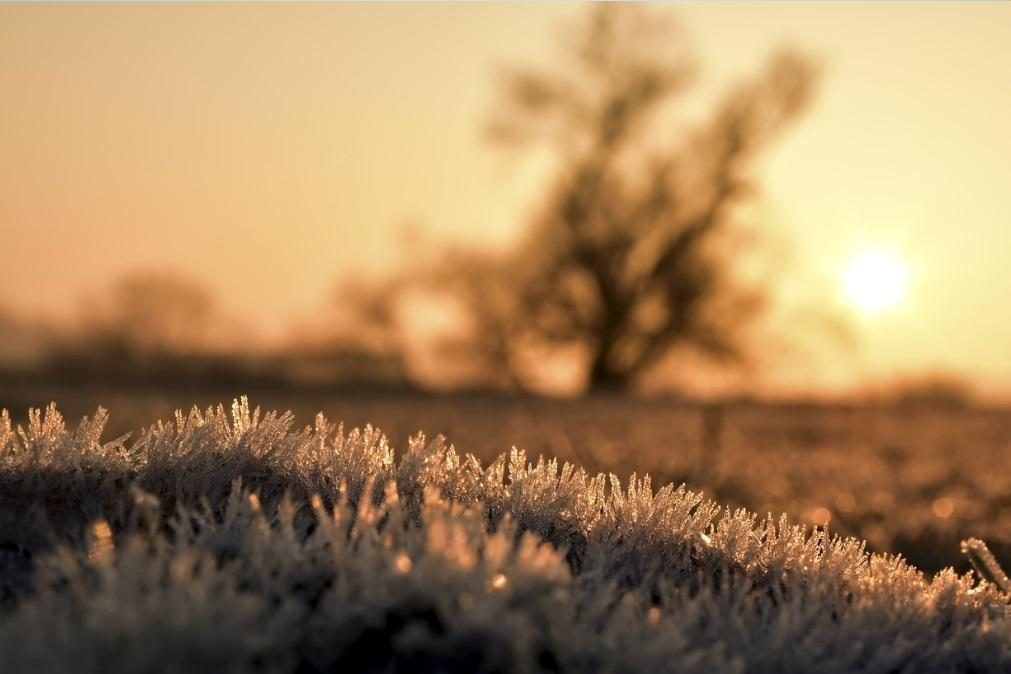 Meteorologia: Previsão do tempo para quinta-feira, 20 de fevereiro