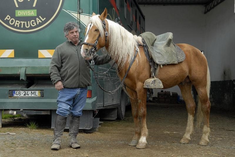 Cavaleiro João Moura nega maus-tratos a animais. 