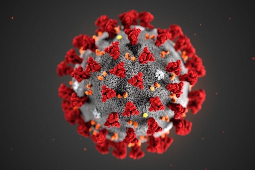 Coronavírus: OMS eleva nível de risco para «muito elevado»