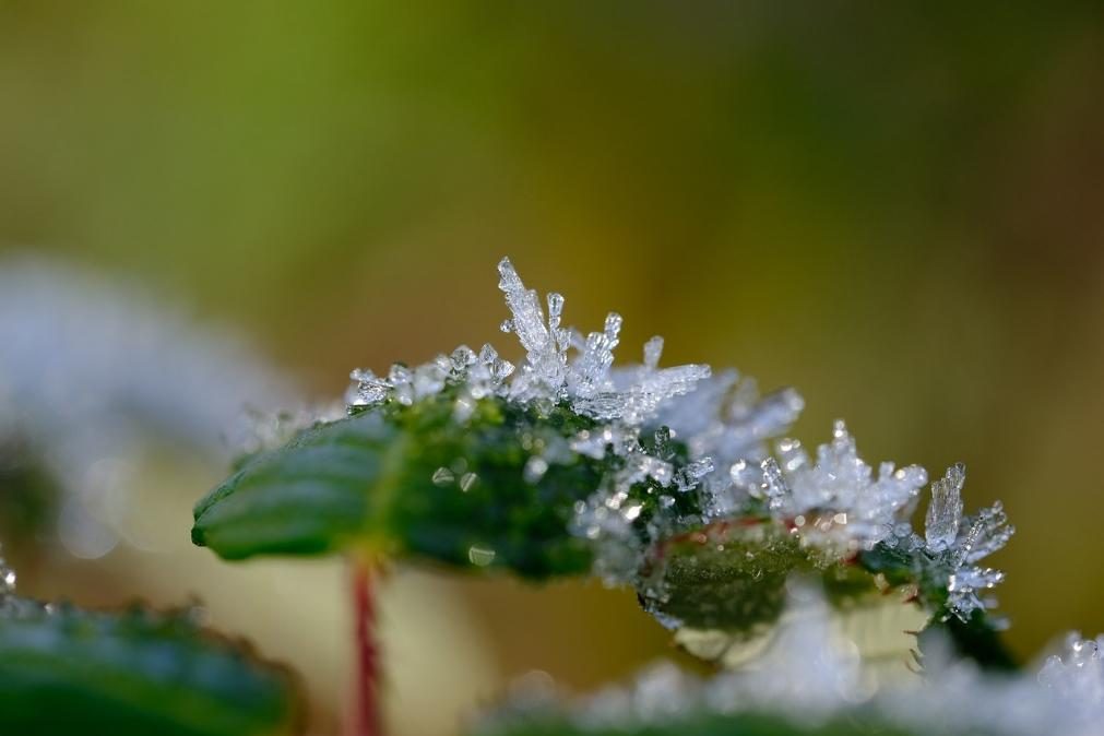 Meteorologia: Previsão do tempo para esta quinta-feira, 5 de março